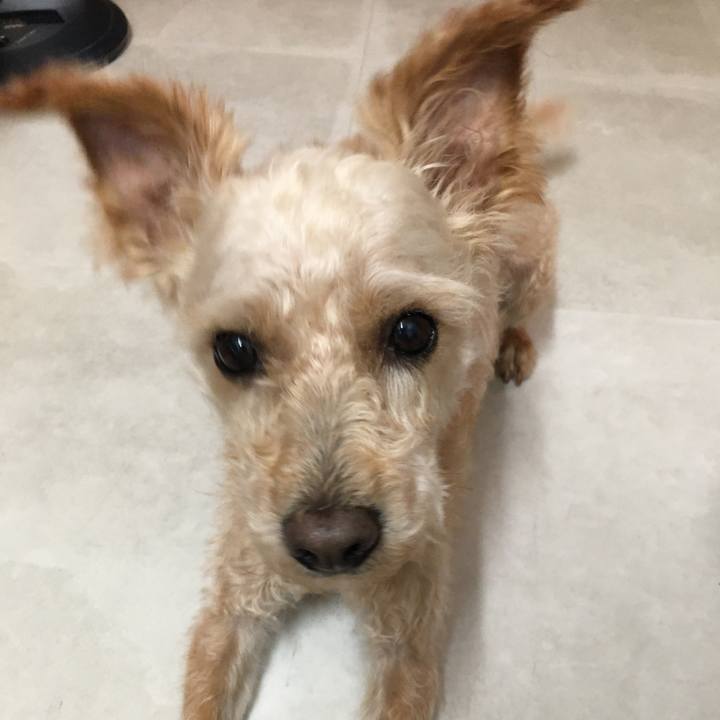 06cfd3ac c763 4a82 a94c ab86f5ff7044 1595148778693