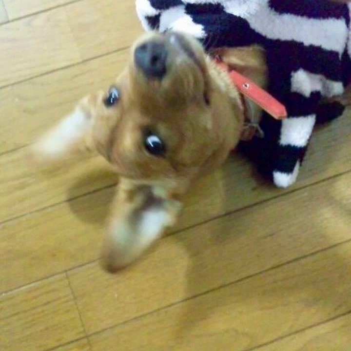 06d0353f c4a7 4e6c b1ba f465884fe560 1518911236218