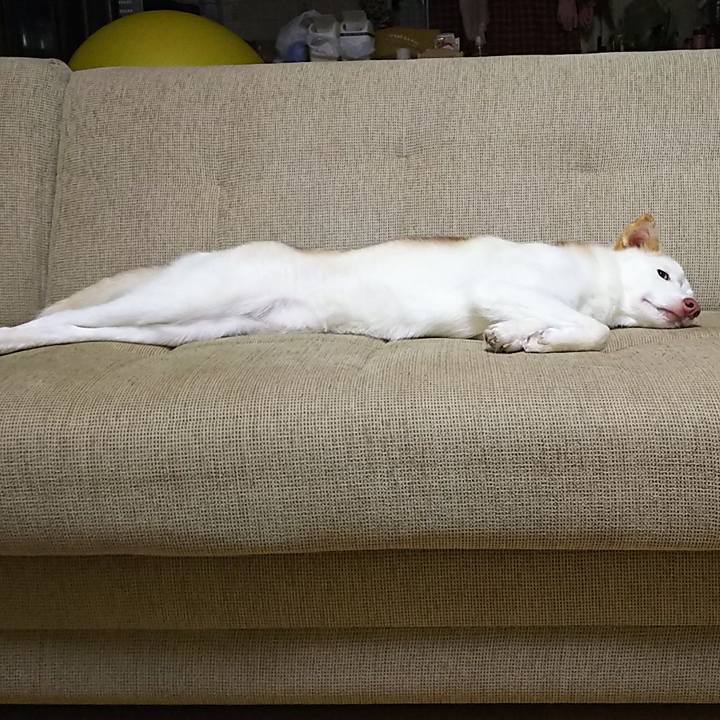 06d0b246 84b0 4c94 8fa0 7a3924e8c2e8 1536926241217