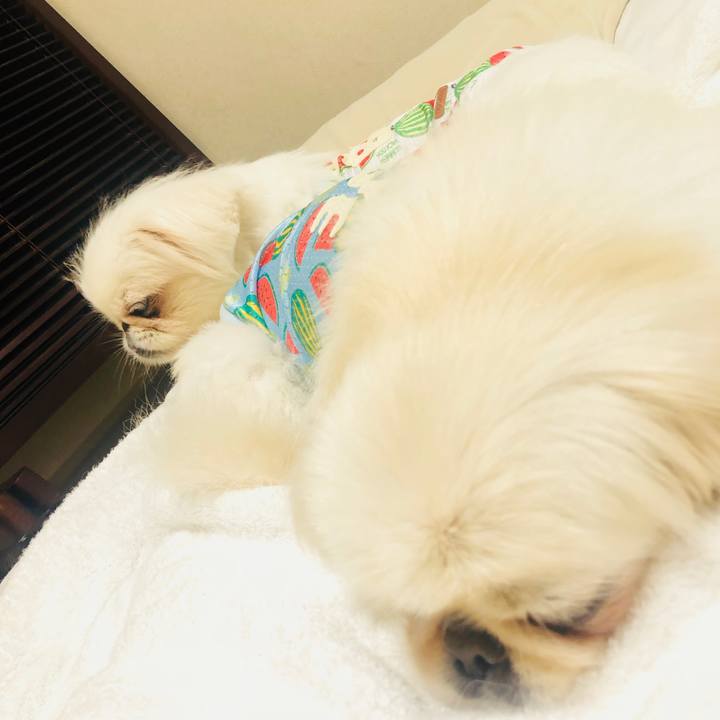 06d0bb4b 5eac 42f3 ba7a 0dd0c7fa5de8 1566306869965