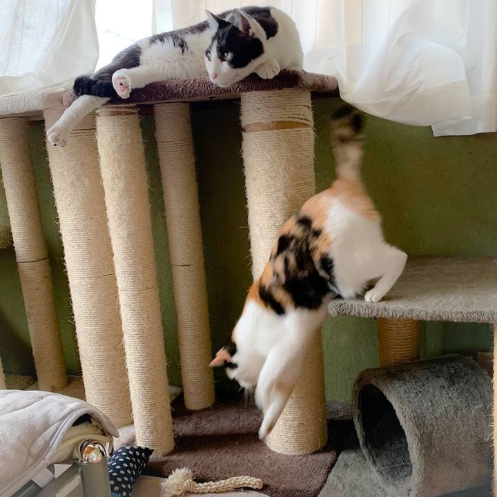 06d0c38b 307b 4960 a5a0 df4b583f3866 1558057722444