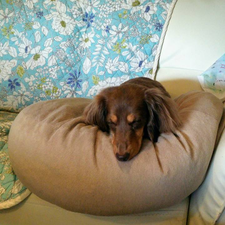 06d0d880 27bf 4eb2 9c63 b41f4b638e8e 1543646233635