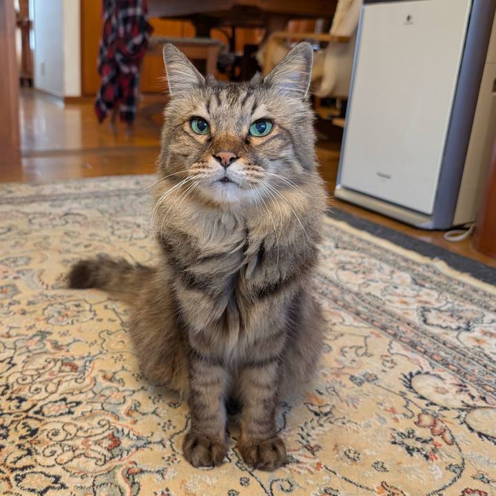 06d101e8 9bd6 4df1 bb88 12043bcf69bd 1776123811360