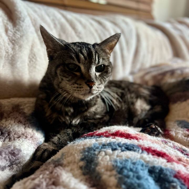 06d112e0 813c 4f9b bd0e c86bee2734bc 1765553170902