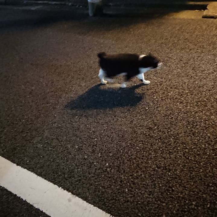 06d172ce 79d8 4a21 b299 52ecb8f190c1 1649671661280