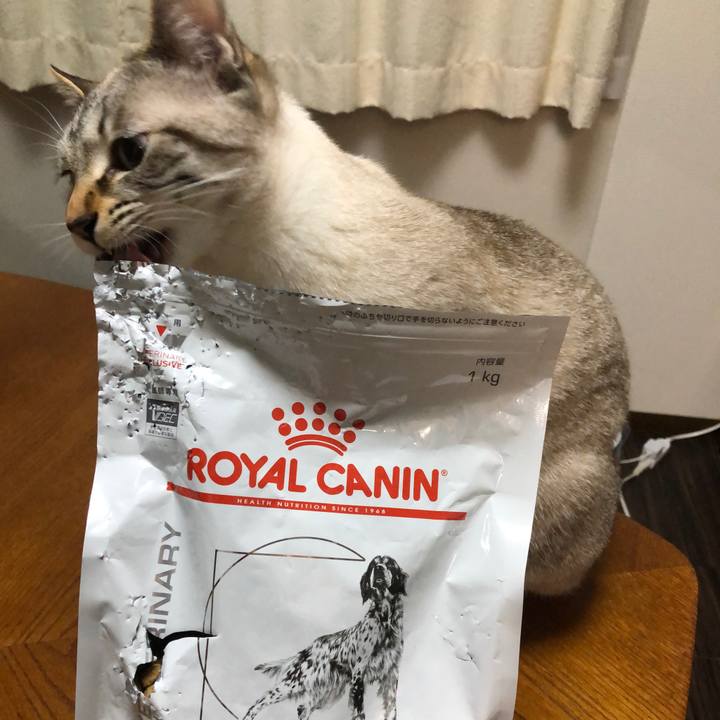 06d1b3f0 de54 4046 a9ca c74b45294117 1616937049112