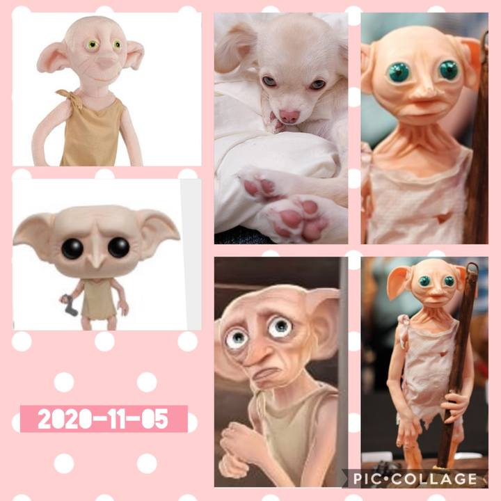 06d1bc6a c700 4fa7 8251 413cc840f1f0 1604539802407