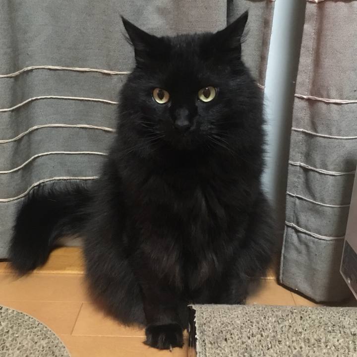 06d1cd83 17a7 4792 bcec baccb16204e1 1557183475678