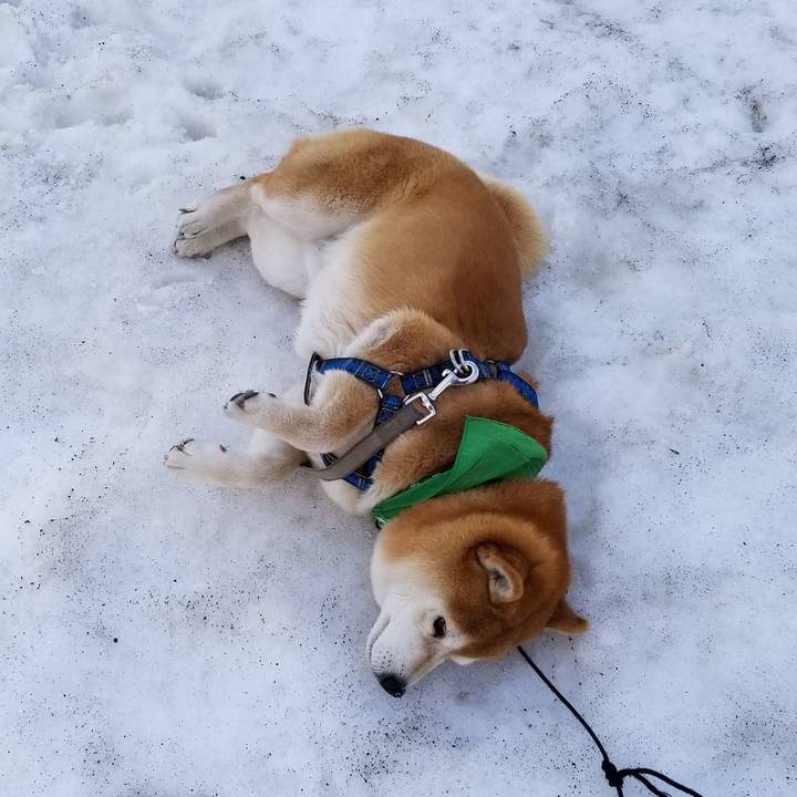 06d1d3b0 890f 453e 92f4 3cfd409a9b5c 1553141324123