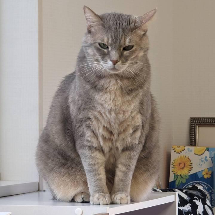 06d1d81d ad5e 43a7 8cf7 7fcb19fd928d 1704426814036