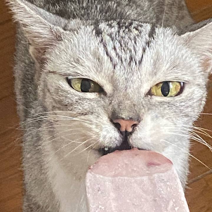 06d1e57b a4c3 427c 9371 f86c50eaf70f 1755762695066