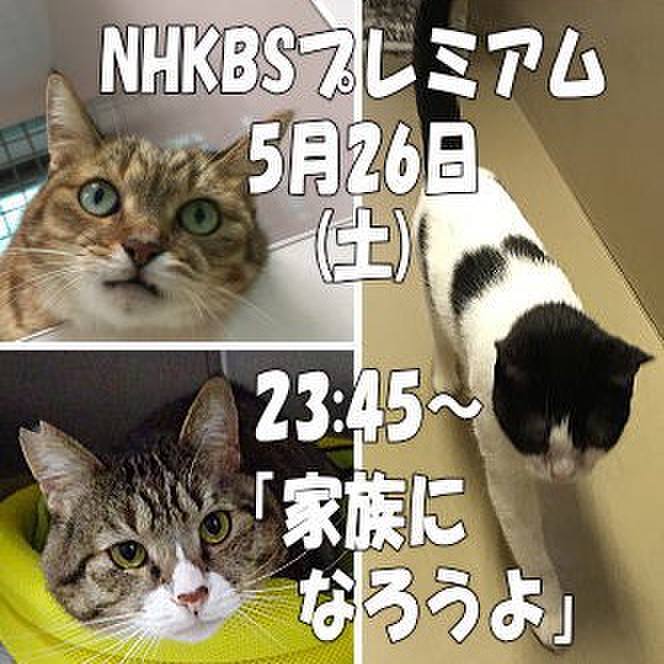 06d1e762 4943 467a b382 51973b29d8c4 1527308554972