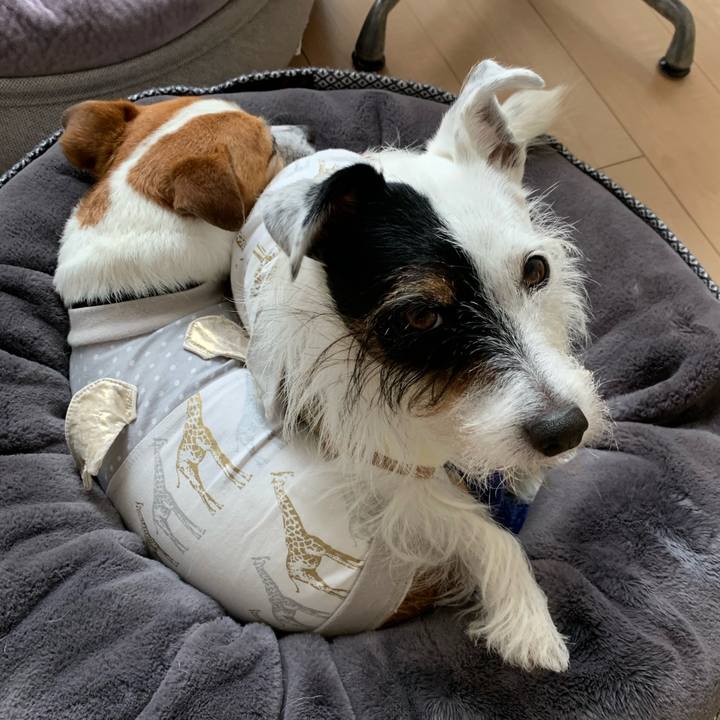 06d1feec 9a3c 4a45 bf4e 21cec75738b9 1635290307688