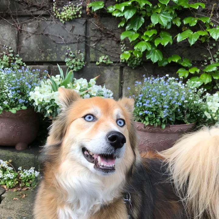 06d27b59 dc67 4c1b 9e57 8af511ee7796 1524273668402