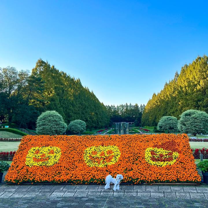 06d2f162 16f7 44c9 85f7 7886884e23cc 1665903661261