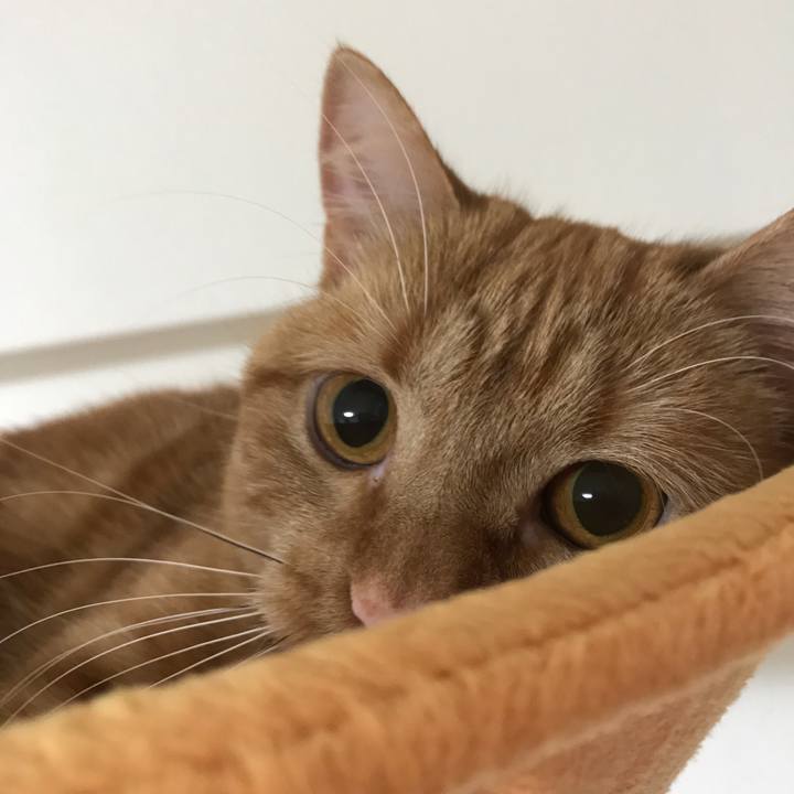 06d2f988 0b78 436d 9826 5ebd2f0006d3 1519346722289