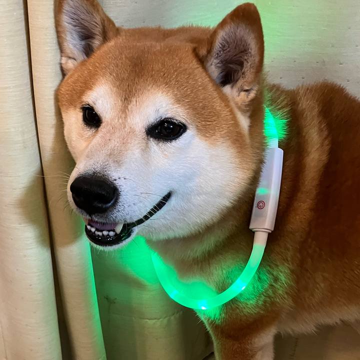 06d31c5f aacf 423a b3bc 282f7af22ba6 1763844592905