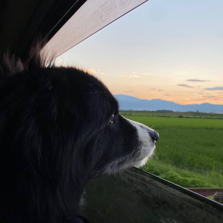 06d33217 24fc 4da5 9d9c ea94f781f657 1596021371110