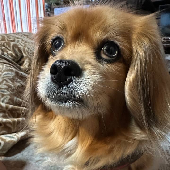 06d3339d ae6c 4a9a 922b 5c80c610b393 1710970304036