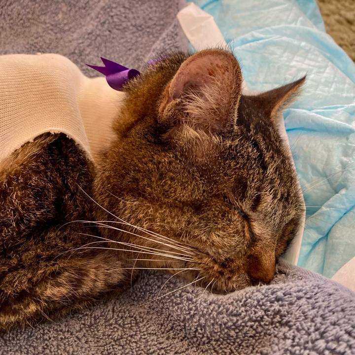 06d3651d 5738 4651 a0c8 530c914e33e6 1688524982374