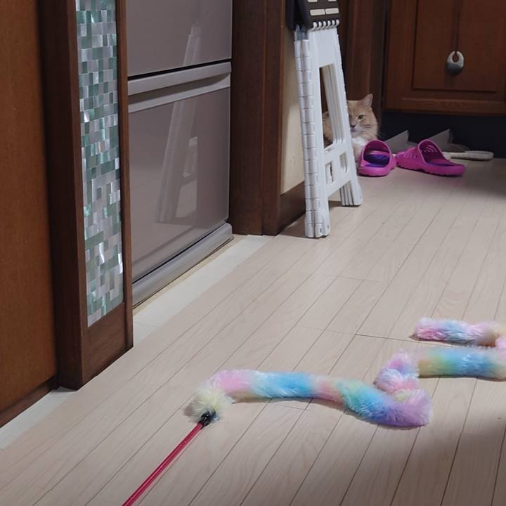 06d383cd 63eb 4cca b927 3e1357f08935 1696815084709