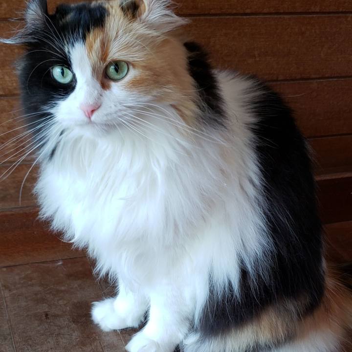 06d39405 7922 4305 ad42 6d285ffe50c3 1594374492379