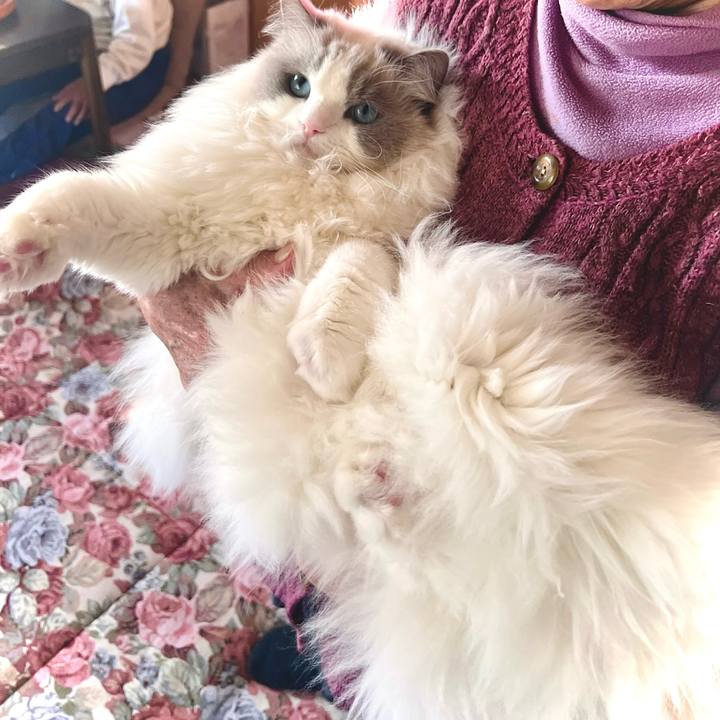 06d3ae56 ecdc 481b b85e a8c983f58755 1736208190395