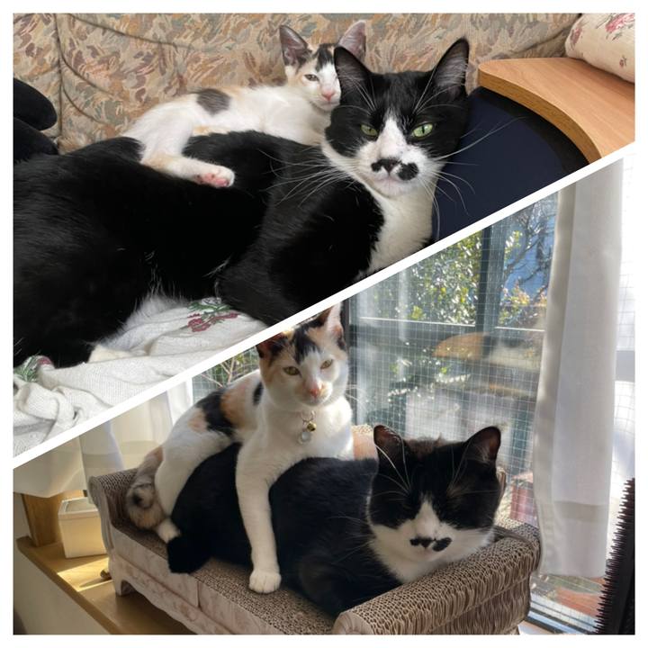 06d3cf8b bb13 4e5f a257 4db65d5308a4 1674996777506