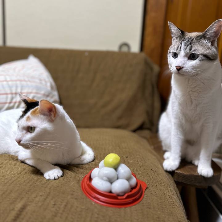 06d3ed5f 8a6c 4b0e ab40 9eb9f390b45f 1726746364212