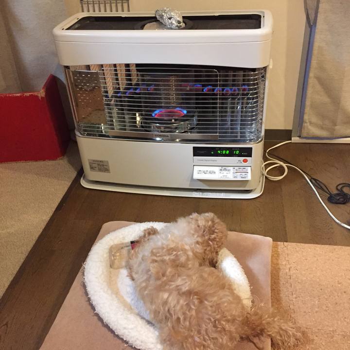 06d42295 b2f2 440d b42e f3b64a8a07a7 1511679931163