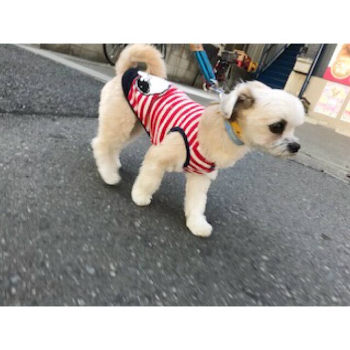 06d4513c fe5d 4cad bc84 5c2b4c2b00bf 1553084408922