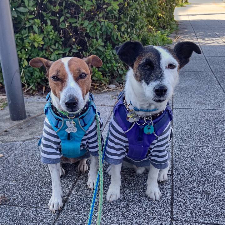 06d459c7 4f5a 436a 9b17 6739f42a2639 1667460774985