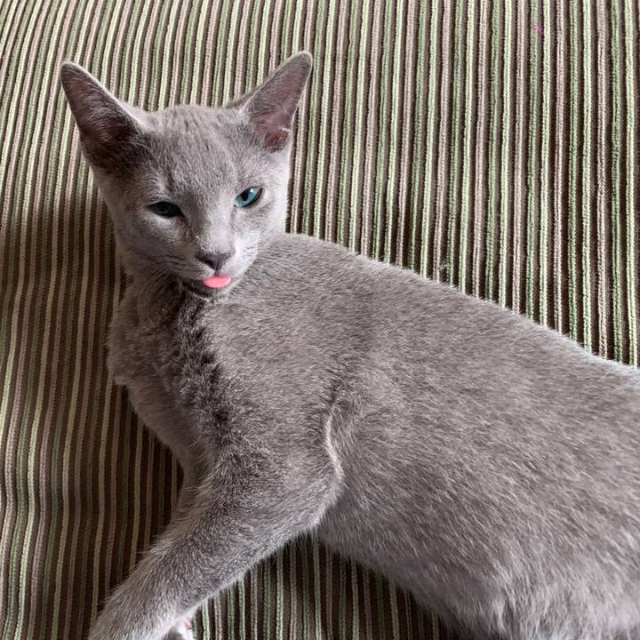 06d47751 7703 4d9d 9e58 37a01a3dac2b 1574994701059