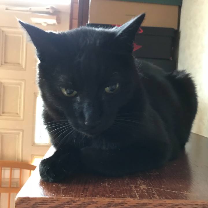 06d4d647 ceae 4c9f b0eb d00a6e9c638e 1524790483795