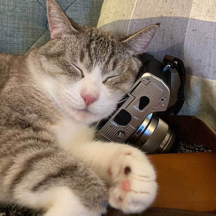 06d4ebd3 32c0 463a 9719 4c65b536c8c1 1626009358711