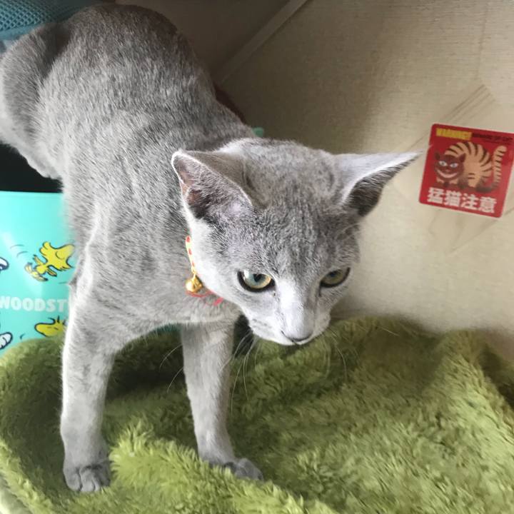 06d4f319 c902 4445 92f0 48746b7c07a0 1511308296796