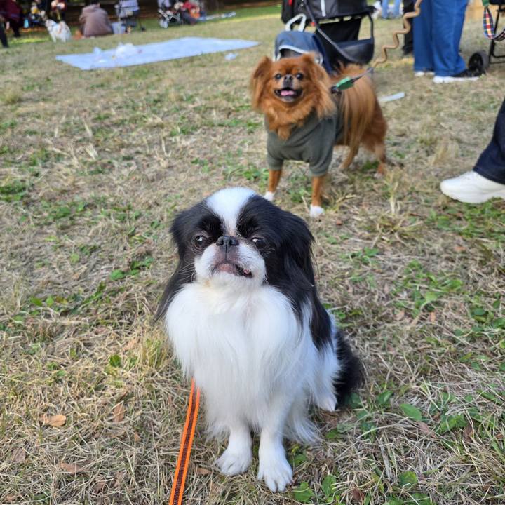 06d5071f 295b 4c87 bd9a 1c11a9b0cf6f 1763284157638