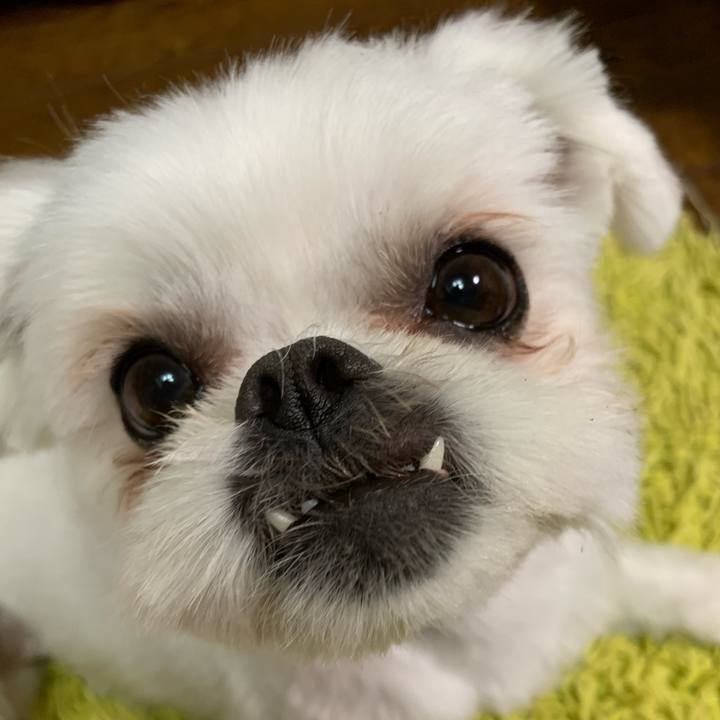 06d50791 3234 456e bc96 a4520712ede0 1682085079140