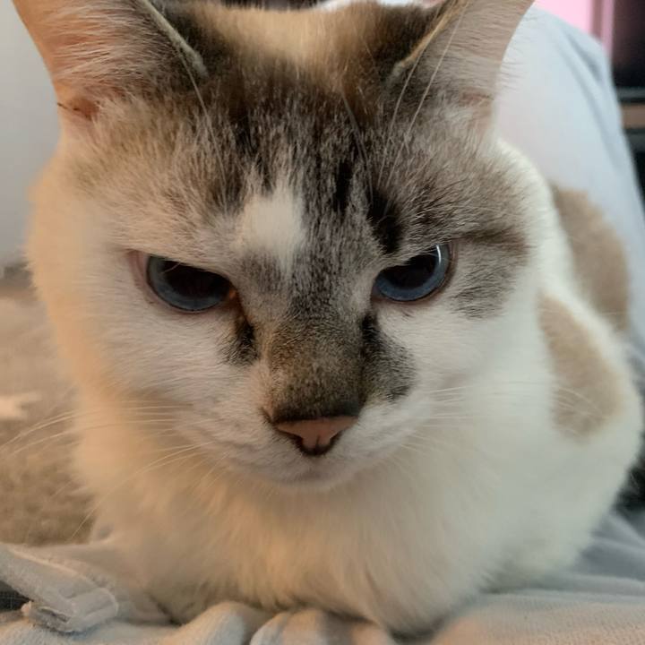 06d511f9 ada8 45b3 920f 7a2efd64957f 1650493835044