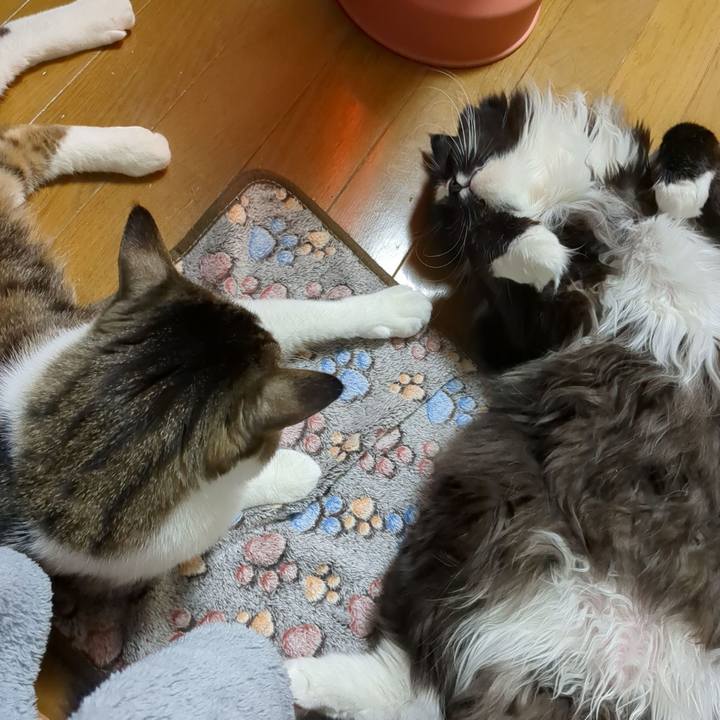 06d51386 7a4f 4507 be18 d9694157056f 1677451451960