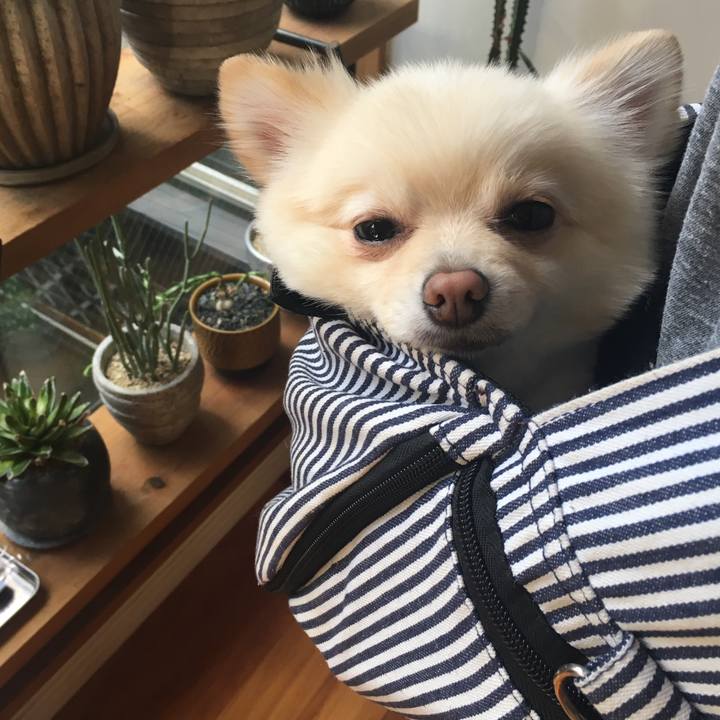 06d521bf d016 4c72 be3d 0e7051c8f19e 1540710708196