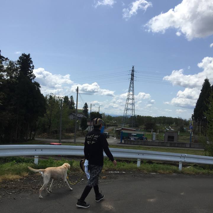 06d52c26 e4e9 45dd b9cd 9c0be8dfb72d 1550402074539