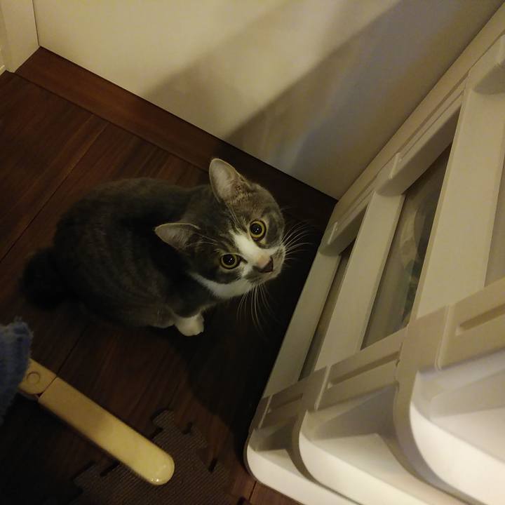 06d54a78 b3be 4b4e aee0 7dc29d395537 1576968452310