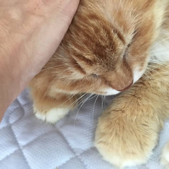 06d55639 71a4 4d19 a99d 121641d5c5af 1582454491753