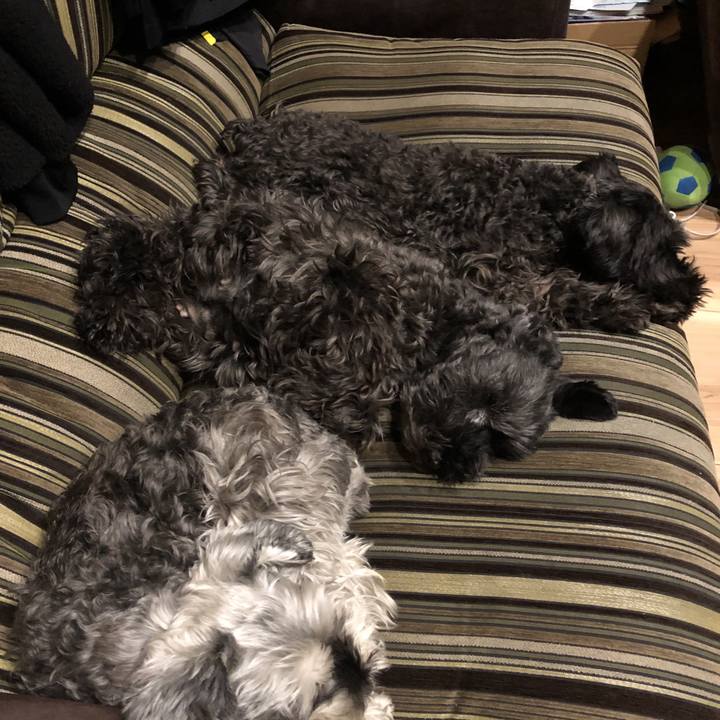 06d557dc 67b3 421d 9825 015ce0436d24 1578317731867