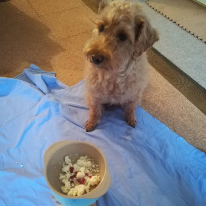 06d595bc 1e79 410d aa5c ee9c33aa9012 1574552908856