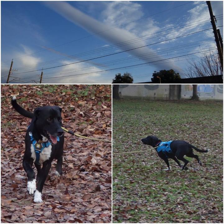 06d5a46e 42ac 4599 9fea 781f1396f985 1607904713015