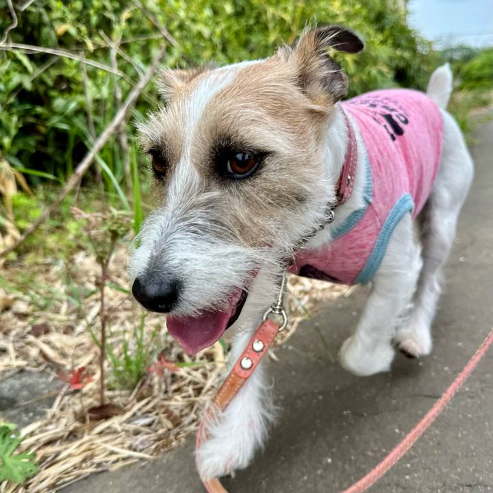 06d61a63 c1a9 467d 86df c75d40a65202 1714441176204