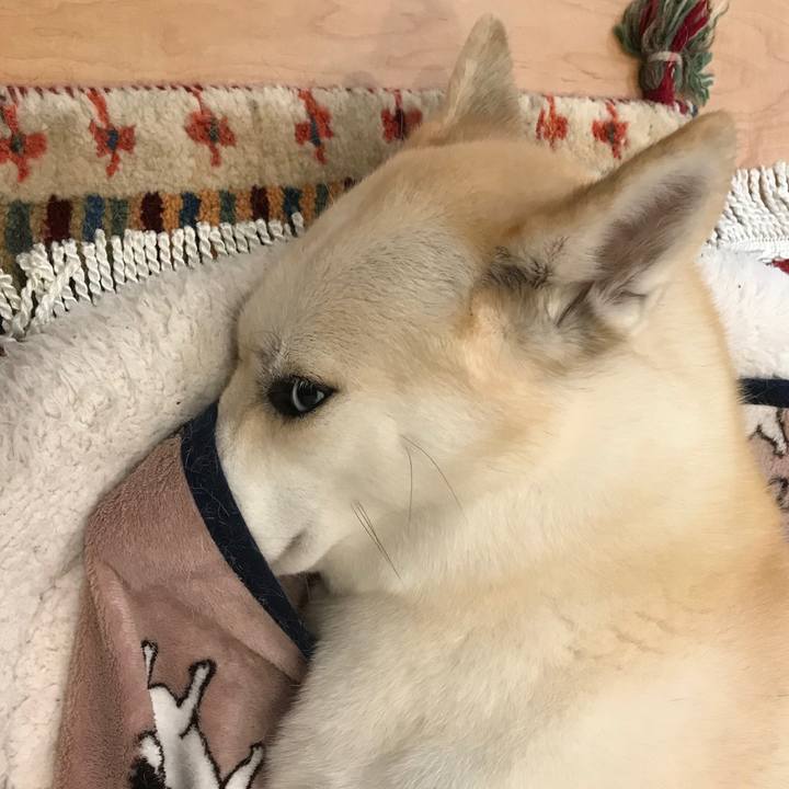 06d6563e 0731 49d3 bdc6 4a4854a1c5c2 1509199049938