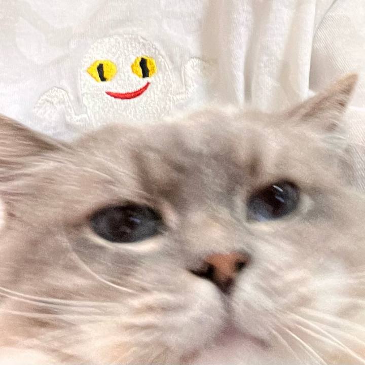 06d6641a eed0 4d4a a446 7bd0931693bc 1662216031878